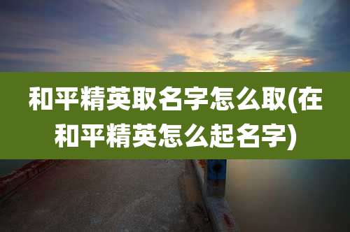 和平精英取名字怎么取(在和平精英怎么起名字)