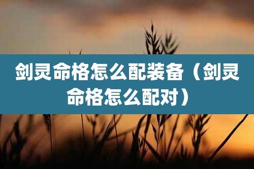 剑灵命格怎么配装备（剑灵命格怎么配对）