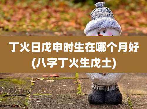 丁火日戊申时生在哪个月好(八字丁火生戊土)