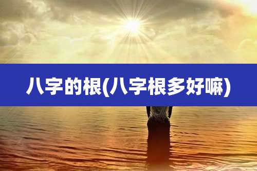 八字的根(八字根多好嘛)