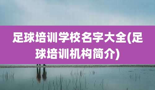 足球培训学校名字大全(足球培训机构简介)