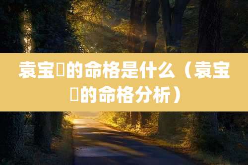 袁宝璟的命格是什么(袁宝璟的命格分析)