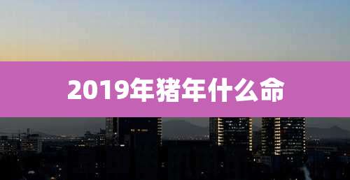 2019年猪年什么命