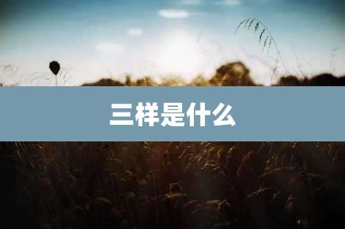 三样是什么