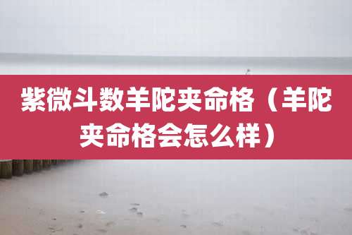 紫微斗数羊陀夹命格（羊陀夹命格会怎么样）