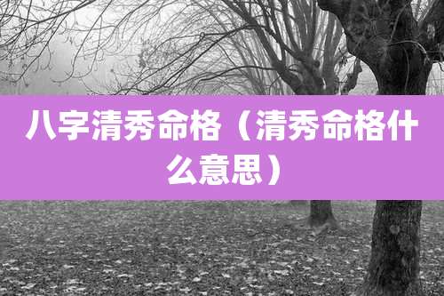 八字清秀命格（清秀命格什么意思）