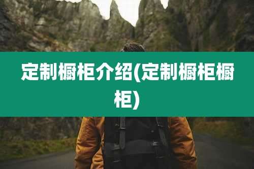 定制橱柜介绍(定制橱柜橱柜)