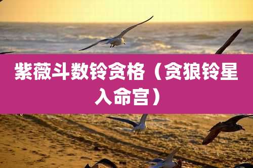 紫薇斗数铃贪格（贪狼铃星入命宫）