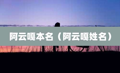 阿云嘎本名（阿云嘎姓名）