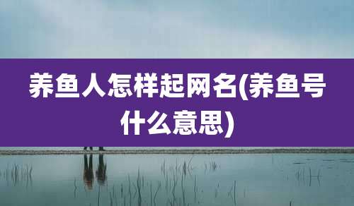 养鱼人怎样起网名(养鱼号什么意思)