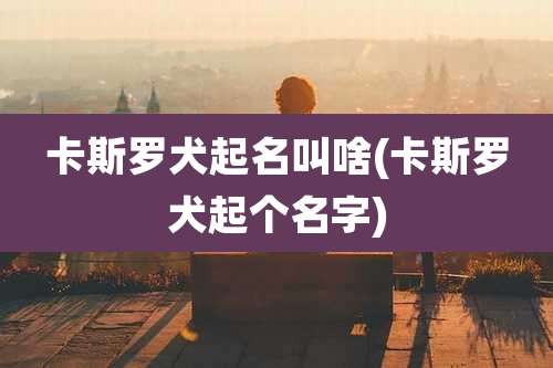 卡斯罗犬起名叫啥(卡斯罗犬起个名字)