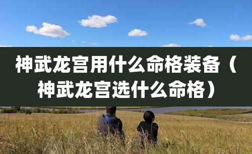 神武龙宫用什么命格装备(神武龙宫选什么命格)