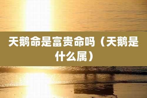 天鹅命是富贵命吗（天鹅是什么属）
