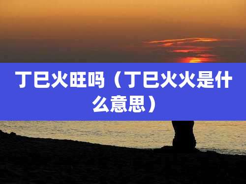 丁巳火旺吗(丁巳火火是什么意思)