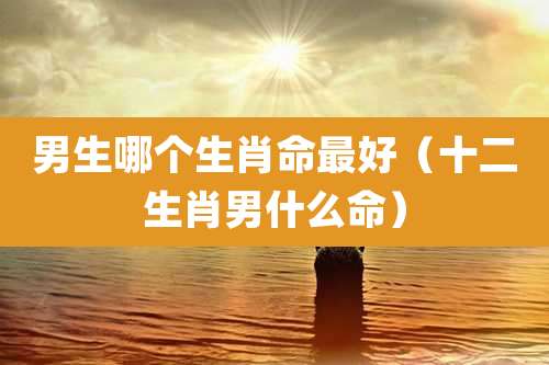男生哪个生肖命最好（十二生肖男什么命）