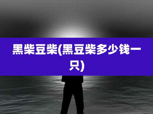 黑柴豆柴(黑豆柴多少钱一只)