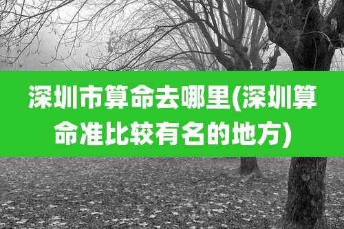 深圳市算命去哪里(深圳算命准比较有名的地方)