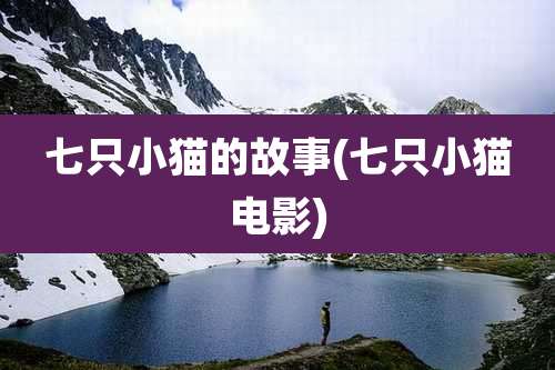 七只小猫的故事(七只小猫电影)