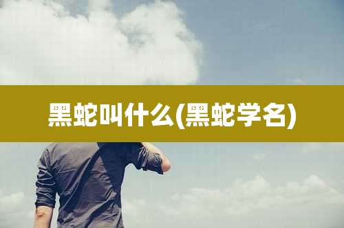 黑蛇叫什么(黑蛇学名)