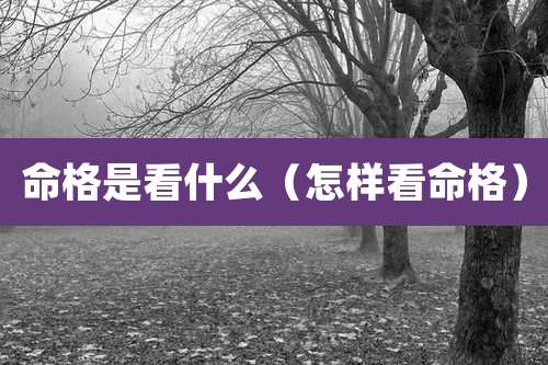 命格是看什么（怎样看命格）
