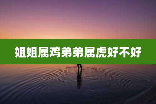 姐姐属鸡弟弟属虎好不好