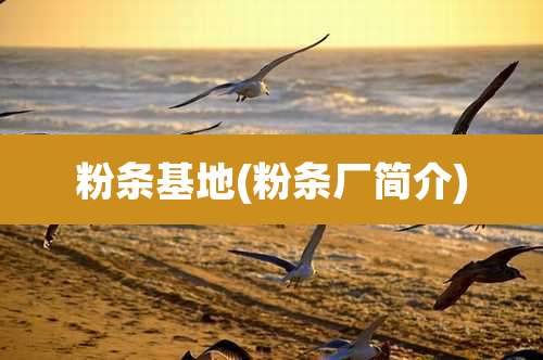 粉条基地(粉条厂简介)