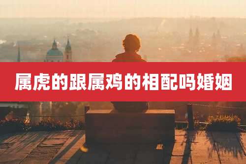 属虎的跟属鸡的相配吗婚姻