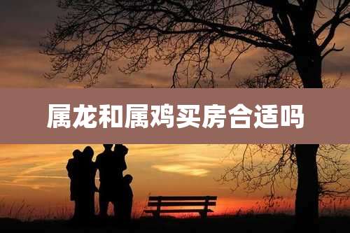 属龙和属鸡买房合适吗