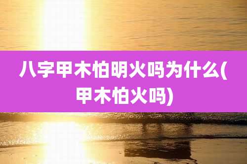 八字甲木怕明火吗为什么(甲木怕火吗)