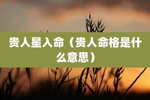 贵人星入命（贵人命格是什么意思）