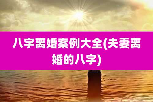 八字离婚案例大全(夫妻离婚的八字)