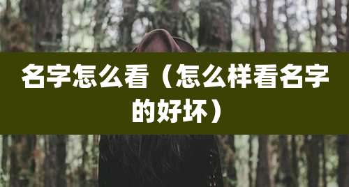 名字怎么看（怎么样看名字的好坏）