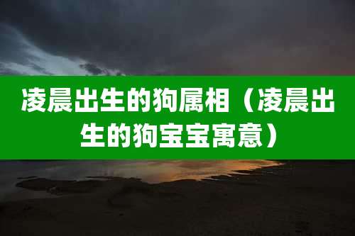 凌晨出生的狗属相（凌晨出生的狗宝宝寓意）