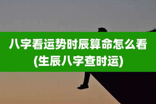八字看运势时辰算命怎么看(生辰八字查时运)