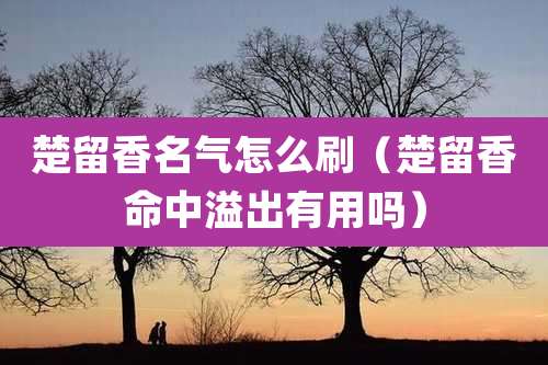 楚留香名气怎么刷（楚留香命中溢出有用吗）