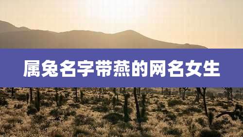 属兔名字带燕的网名女生