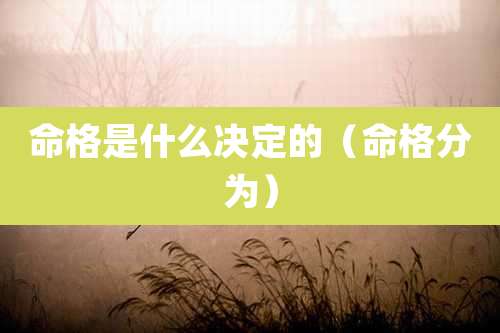 命格是什么决定的（命格分为）