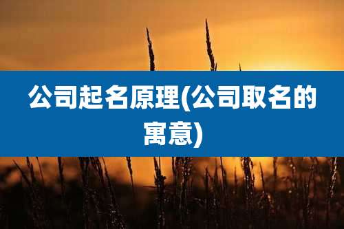 公司起名原理(公司取名的寓意)