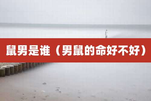 鼠男是谁（男鼠的命好不好）