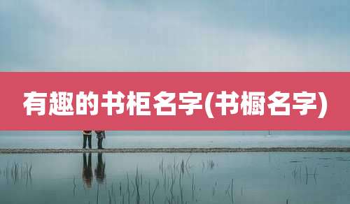 有趣的书柜名字(书橱名字)