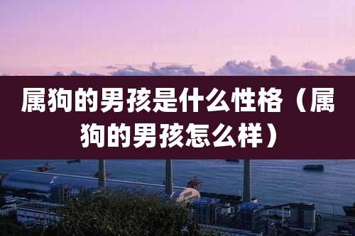 属狗的男孩是什么性格（属狗的男孩怎么样）