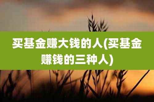 买基金赚大钱的人(买基金赚钱的三种人)