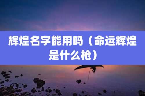 辉煌名字能用吗（命运辉煌是什么枪）