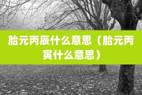 胎元丙辰什么意思(胎元丙寅什么意思)