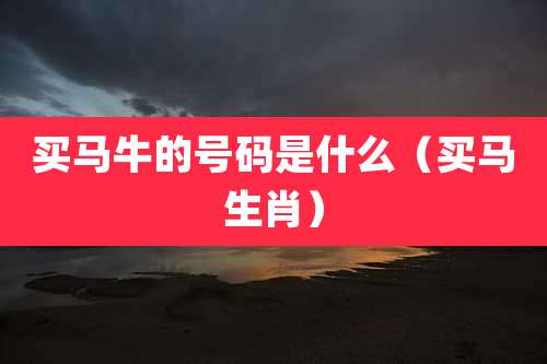 买马牛的号码是什么（买马生肖）