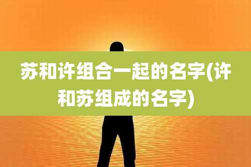 苏和许组合一起的名字(许和苏组成的名字)