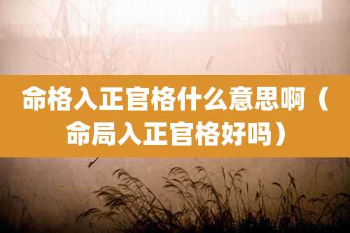 命格入正官格什么意思啊（命局入正官格好吗）