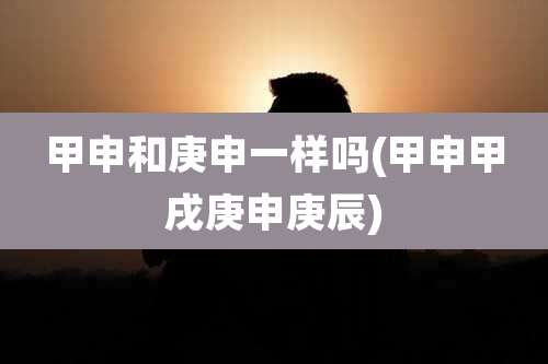 甲申和庚申一样吗(甲申甲戌庚申庚辰)