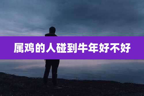 属鸡的人碰到牛年好不好