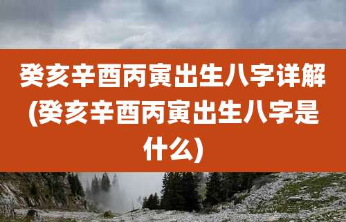 癸亥辛酉丙寅出生八字详解(癸亥辛酉丙寅出生八字是什么)